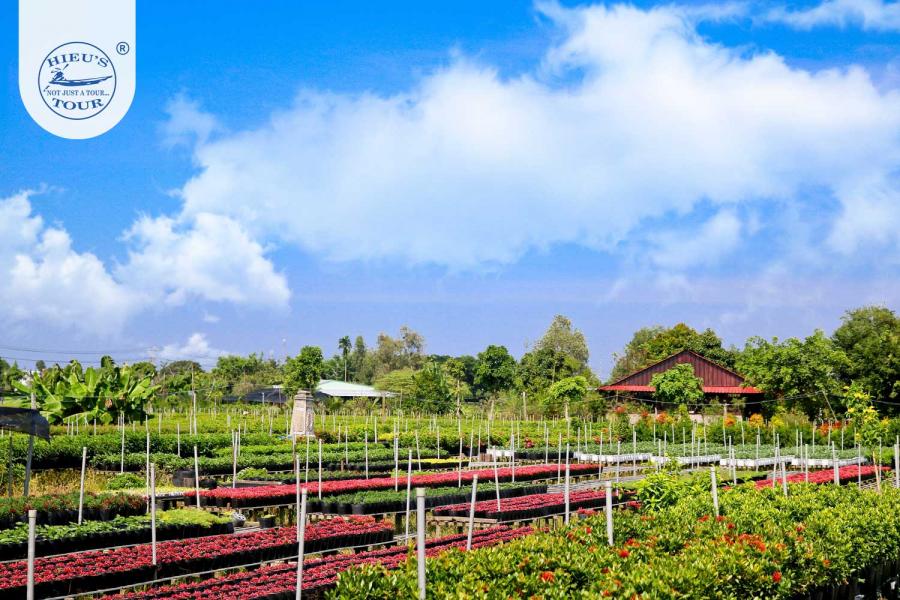 CẦN THƠ- AN GIANG - ĐỒNG THÁP -  4 ngày 3 đêm - HD4NCAĐ1 Cần Thơ