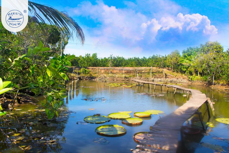 TRẢI NGHIỆM CỒN SƠN  - HDG0NCT2 -  Thời Gian: 6 tiếng 